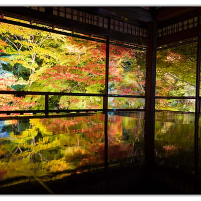 Ruriko-in Temple, Kyoto, Japan