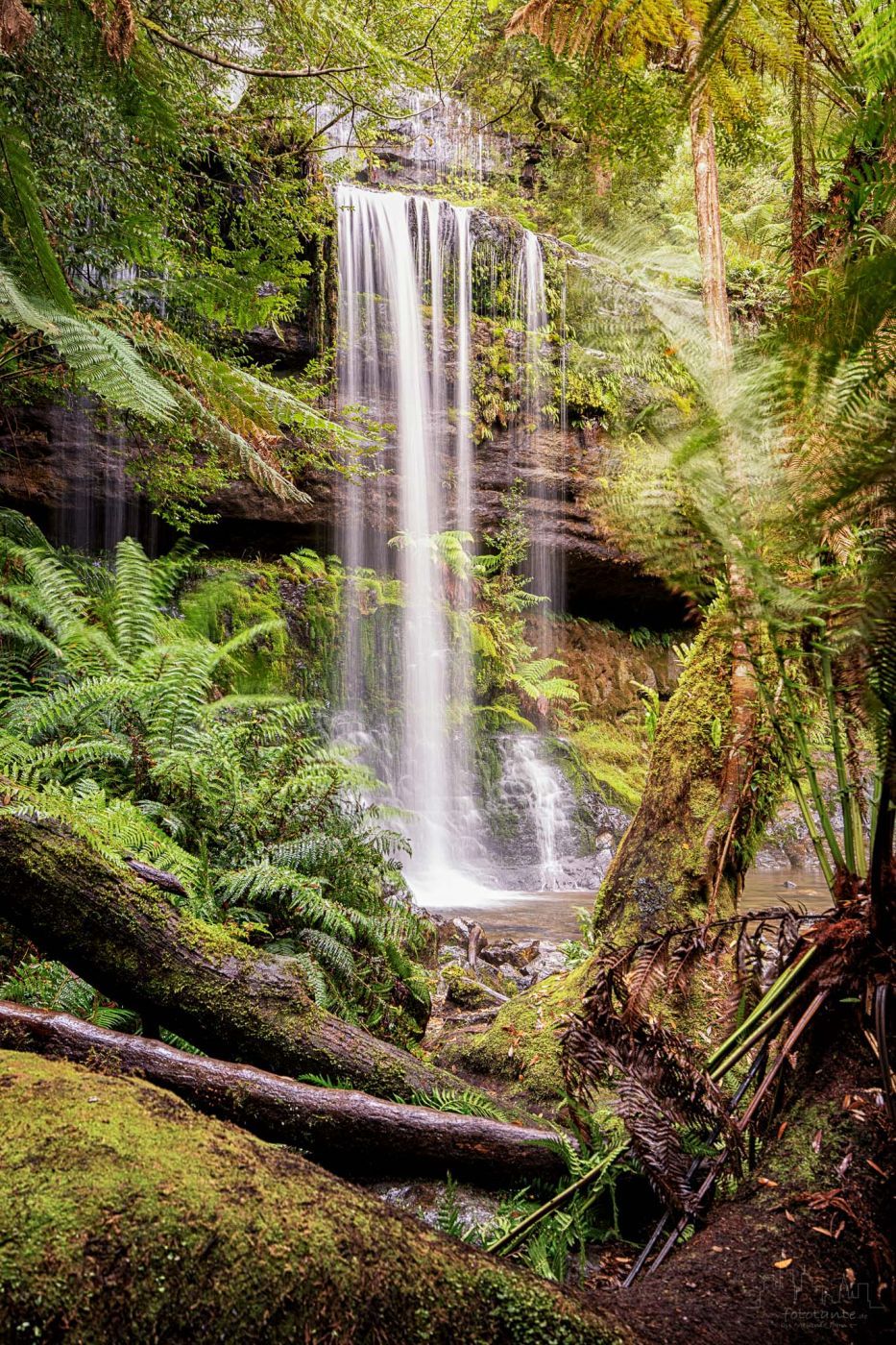 Russel Falls, Mt. Field NP, Tasmania, Australia, Australia