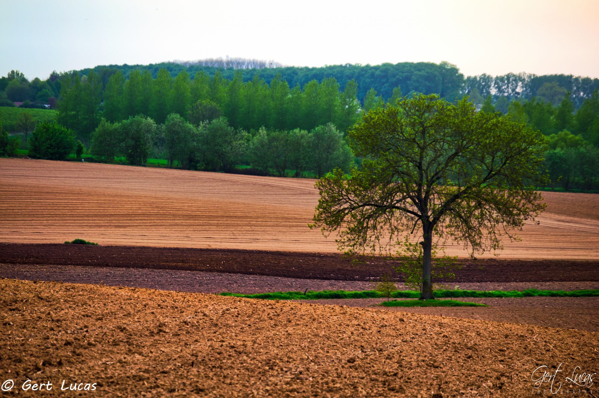 Scheyssingen, Belgium