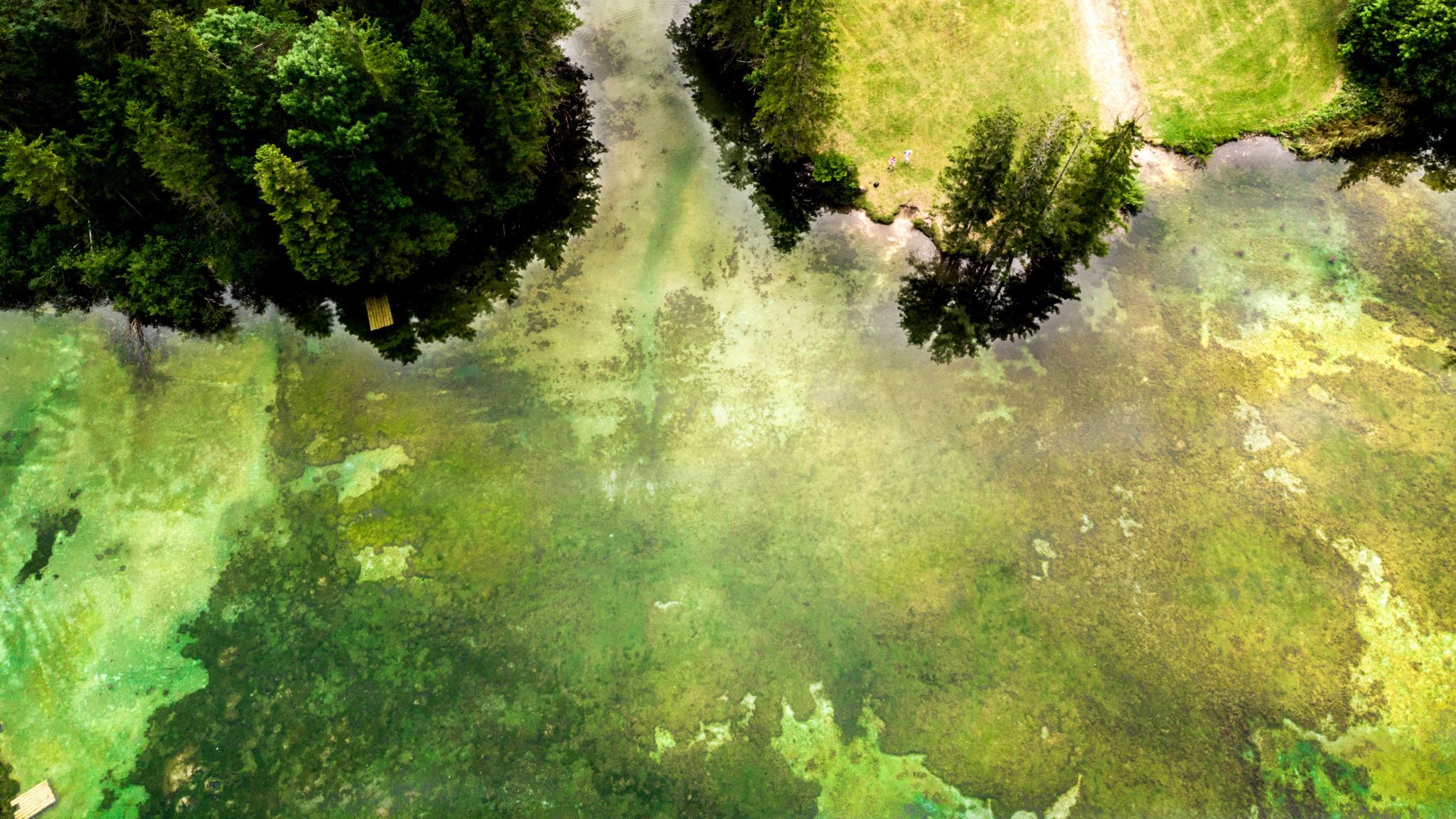 Schiederweiher, Austria