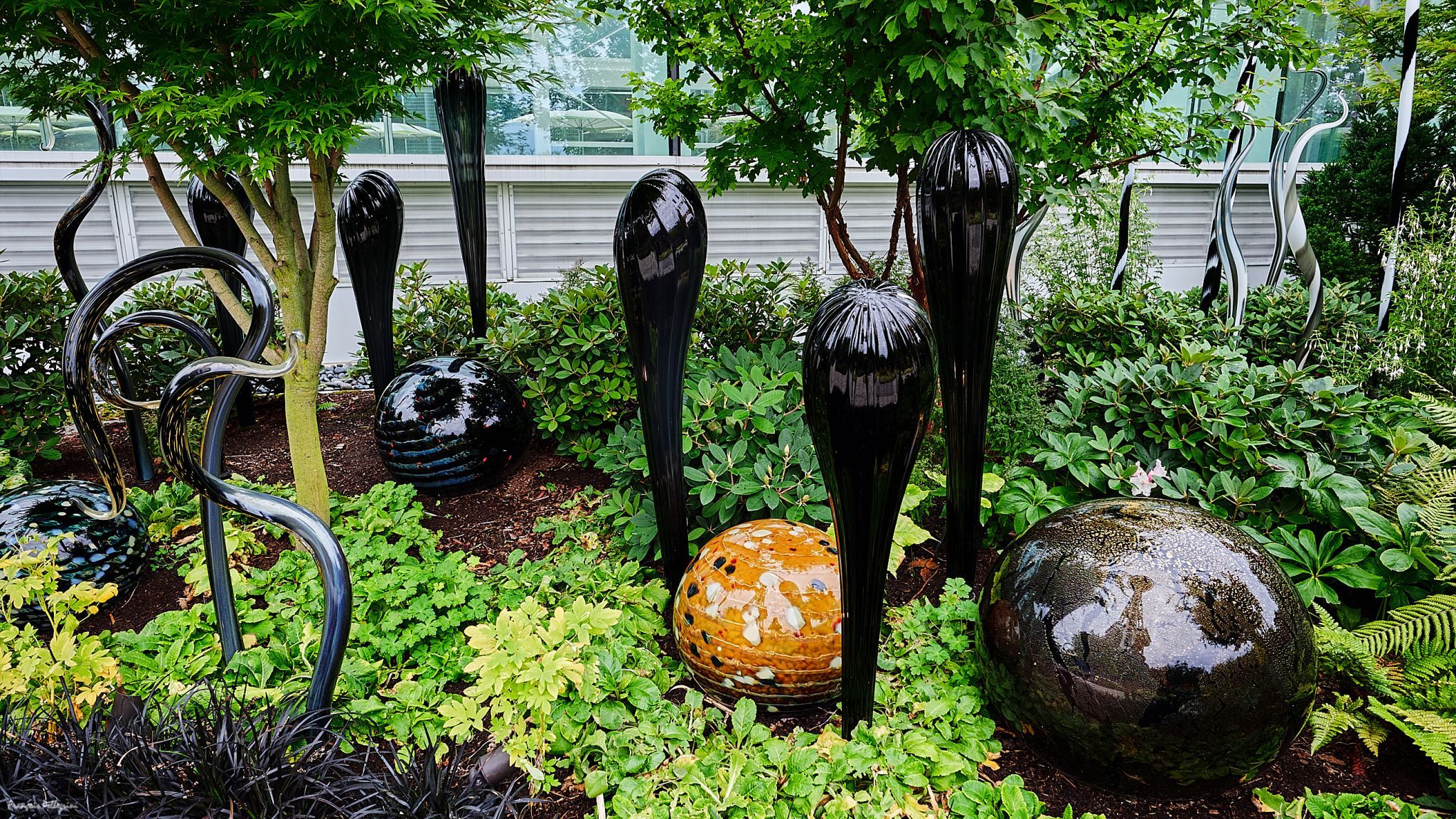Chihuly Garden and Glass, Seattle, USA
