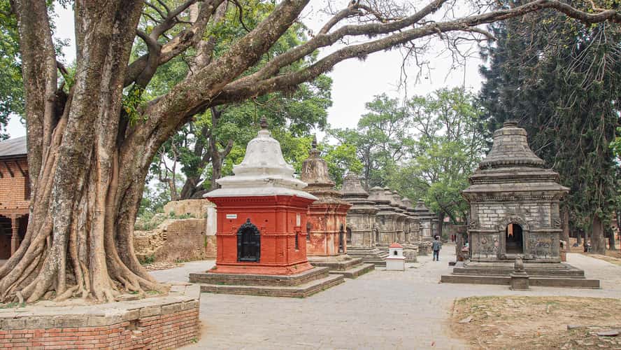 Shiva shrine