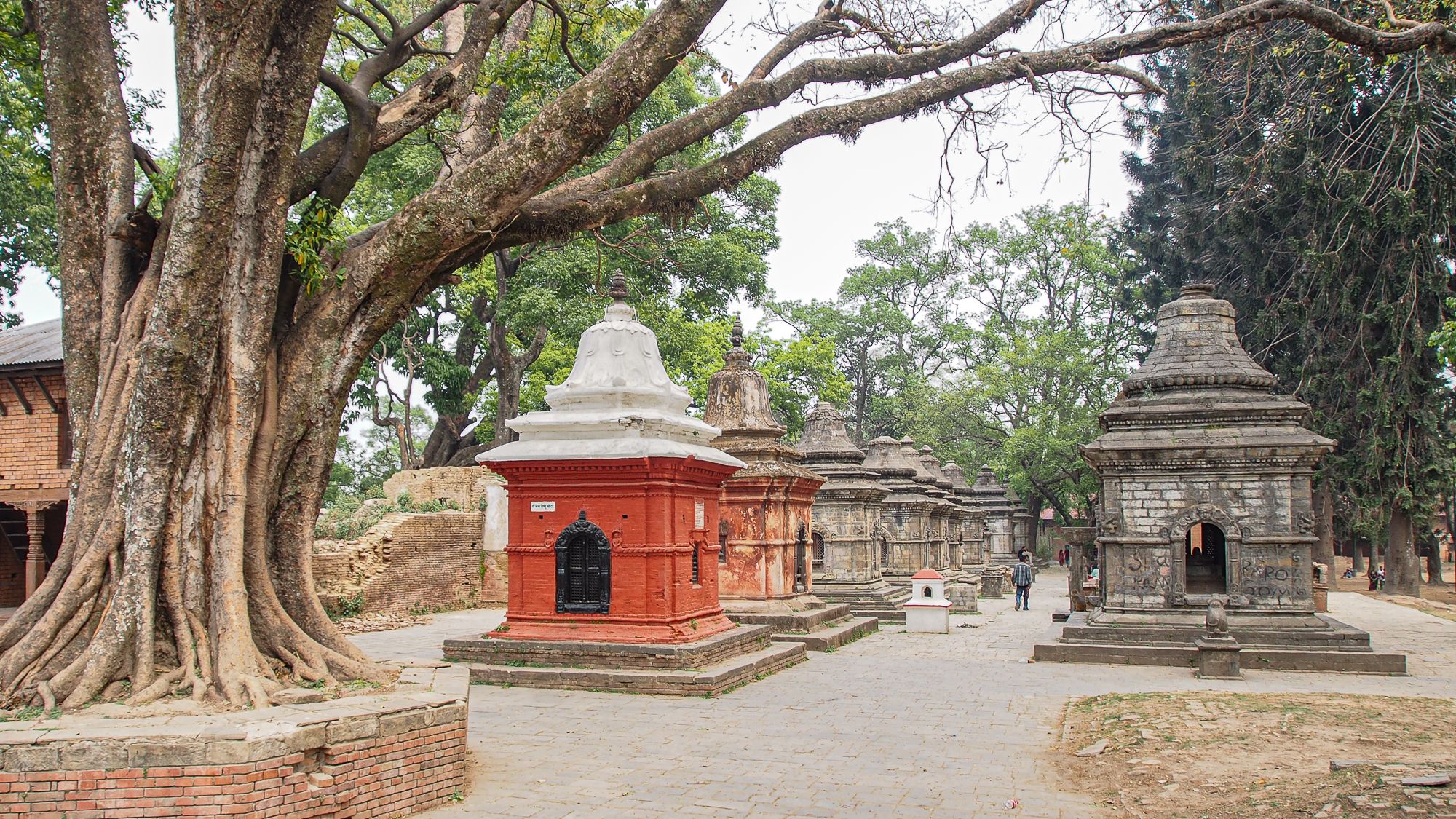Shiva shrine, Nepal