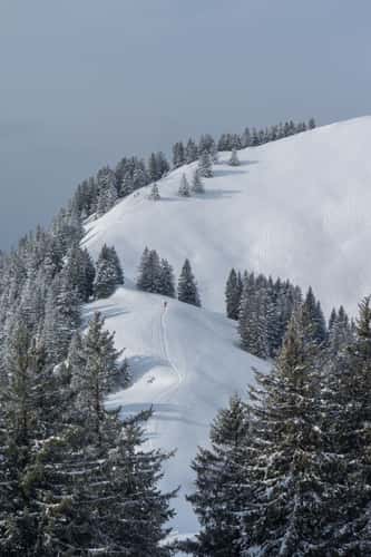 Snow shoe hikers, Rigi