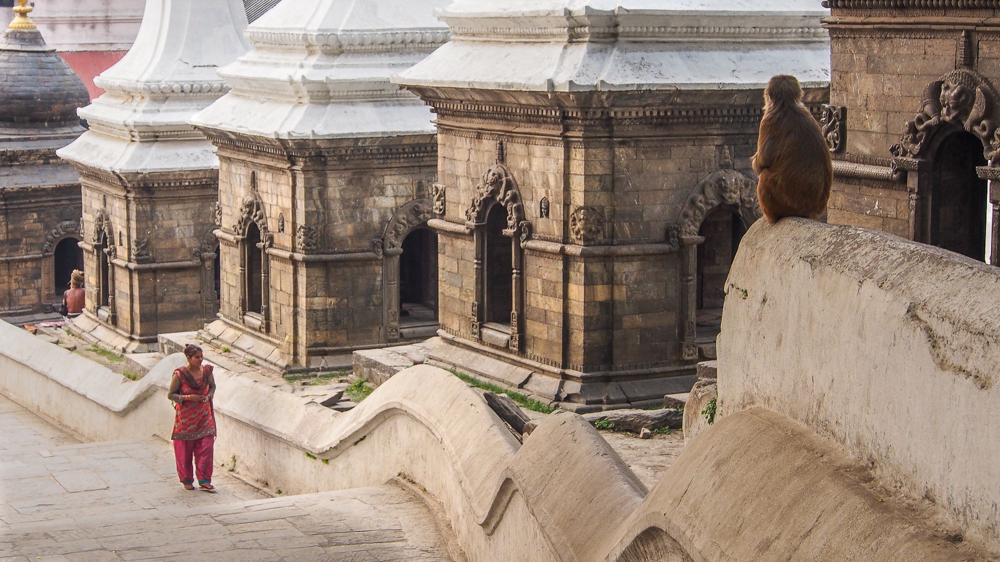 Stairs of pashupatinath, Nepal