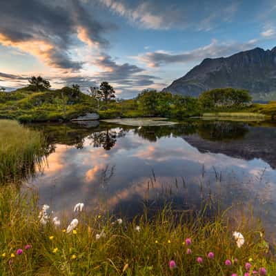 Stor Buøya, Fredvang, Lofoten, Norway