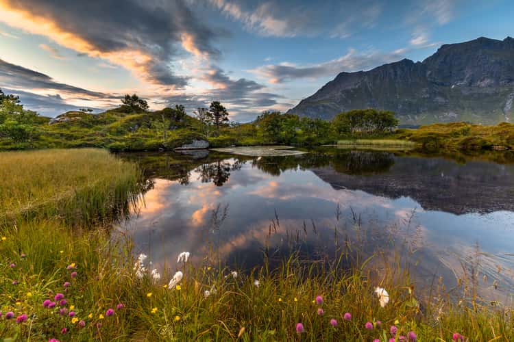 Stor Buøya, Fredvang, Lofoten