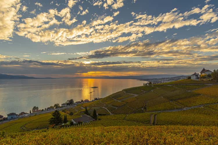 Sunset over Leman lake from Grandvaux,