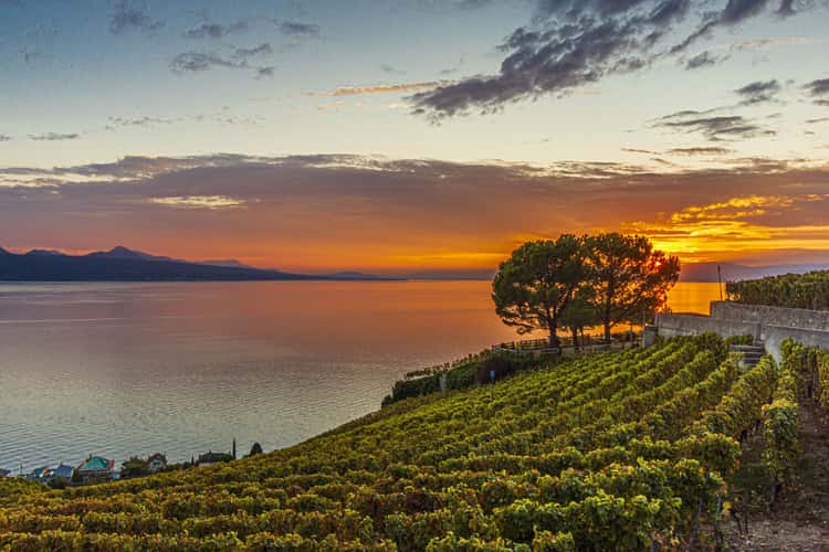 Sunset over Leman lake from Grandvaux,