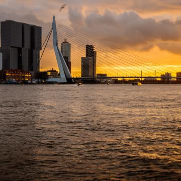 Erasmus Bridge and Kop van Zuid, Rotterdam, Netherlands