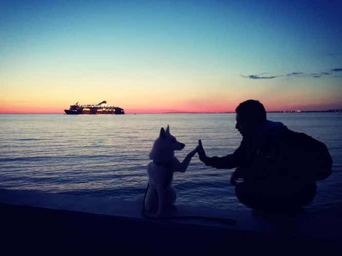Sunset with Seaside, Tallinn