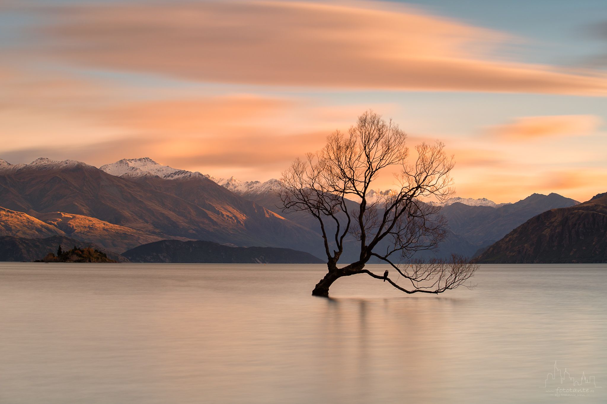 Lake Wanaka - The lonely Tree, New Zealand