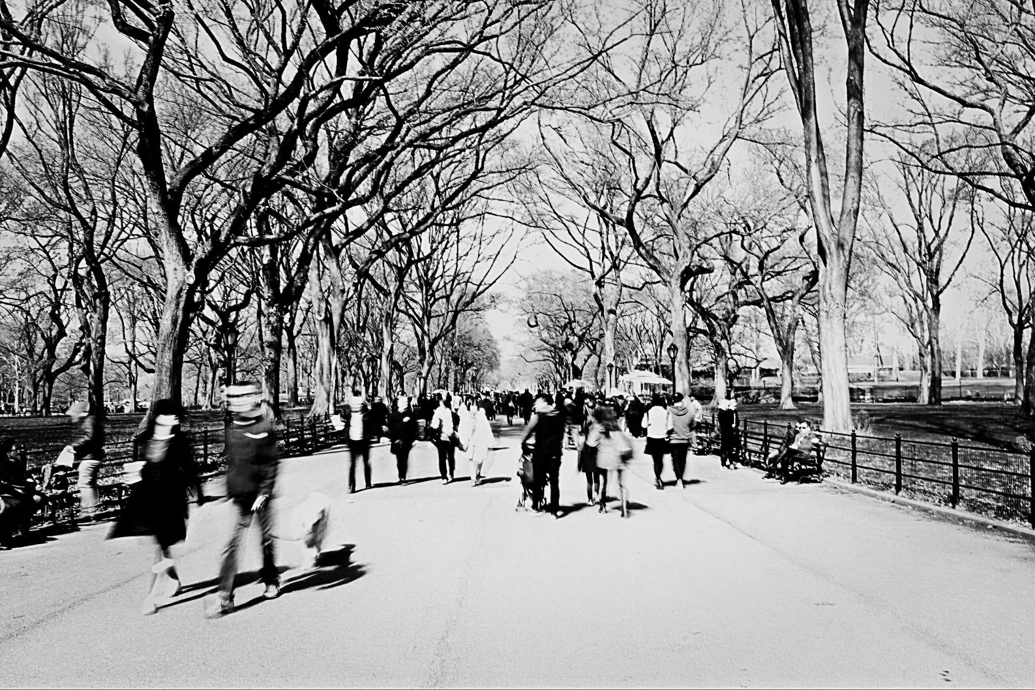 The Mall at Central Park, USA