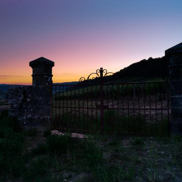 The vineyards after sunset..., France