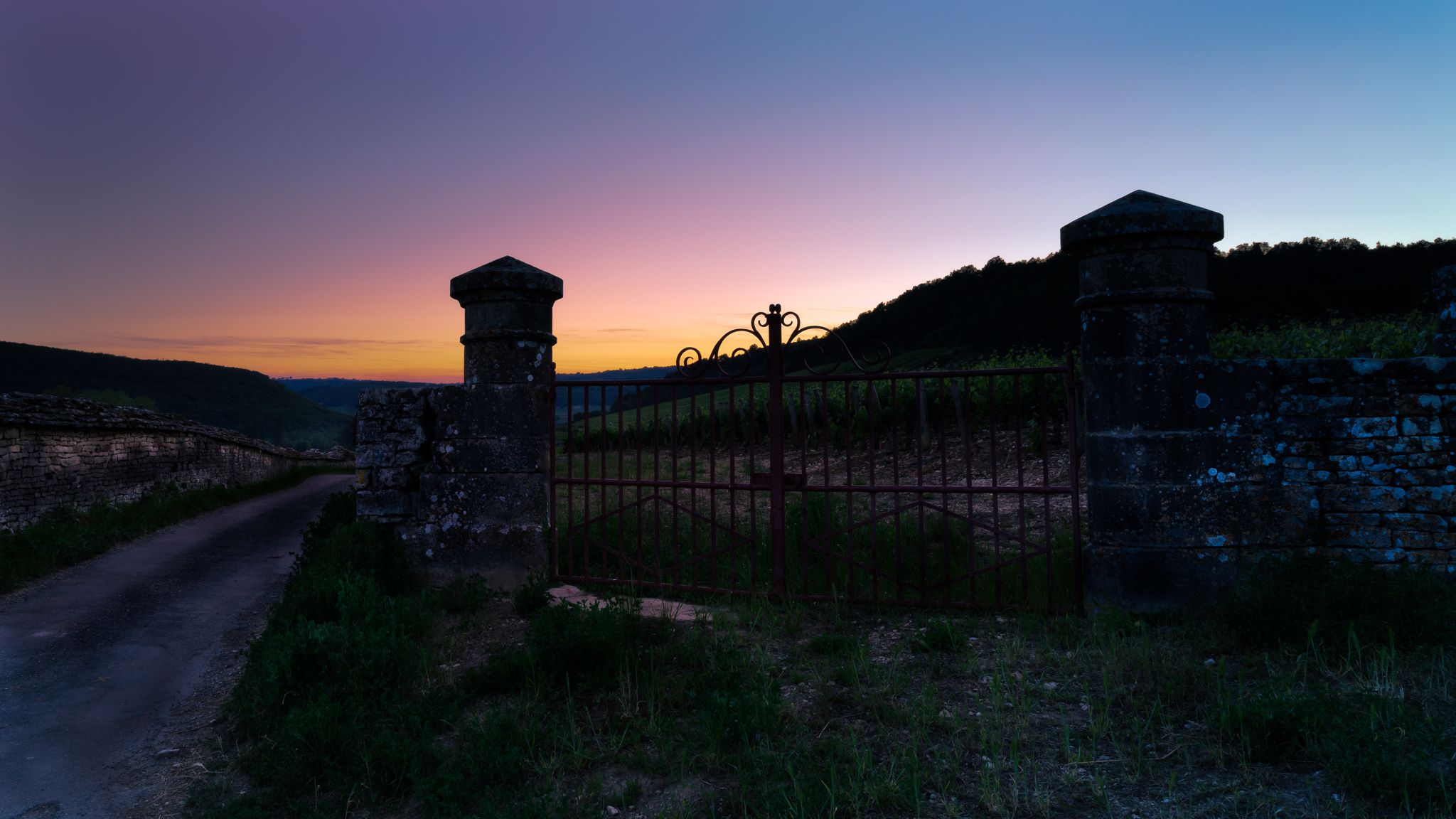 The vineyards after sunset..., France