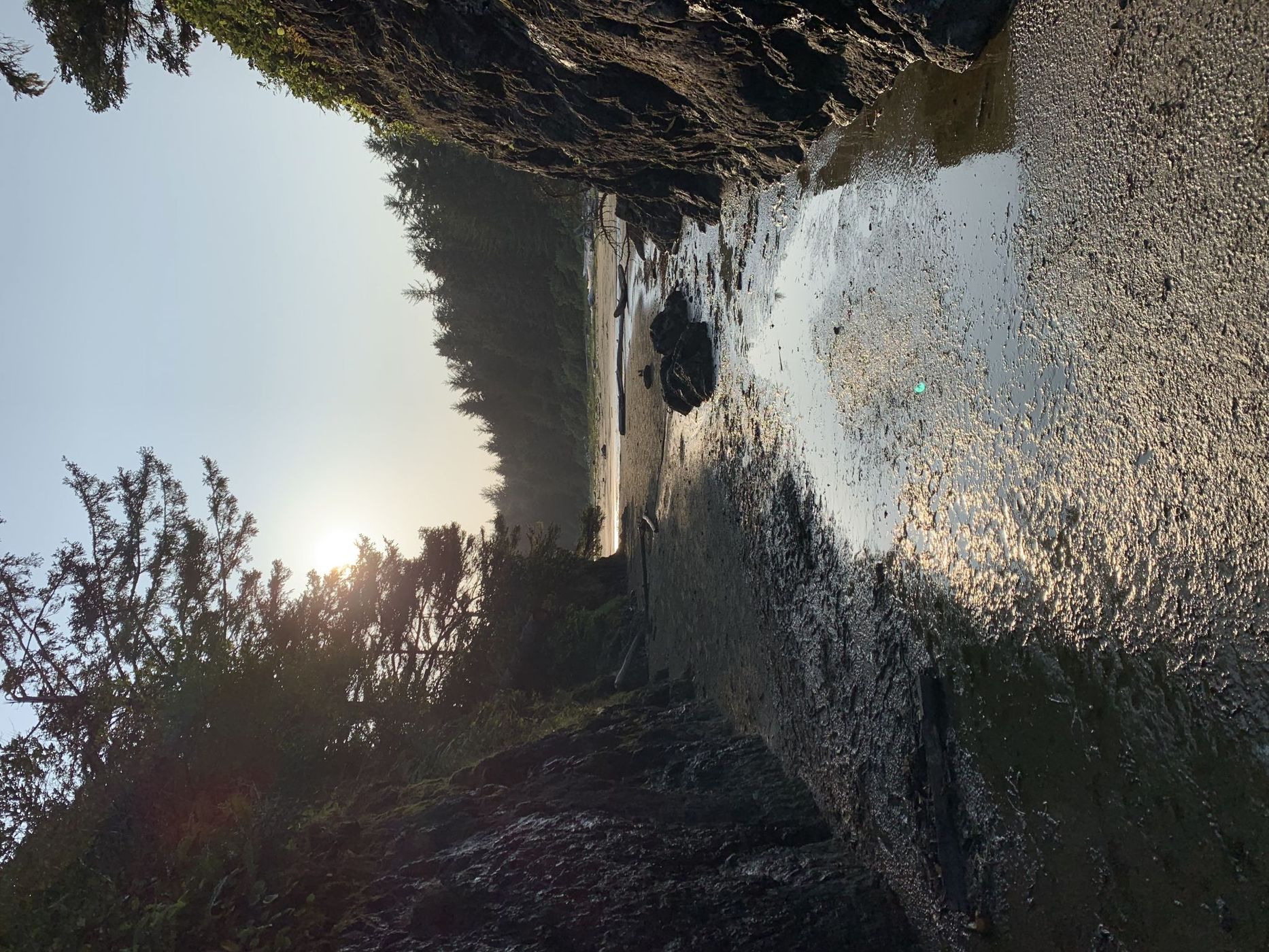 Tofino BC, Canada