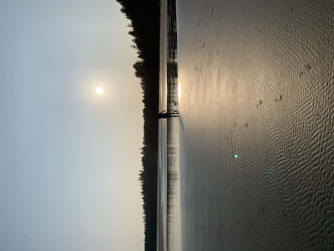 Tofino BC