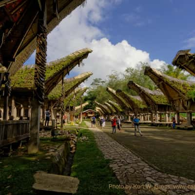 Tongkonan karuaya, Torraja, Sulawesi, Indonesia