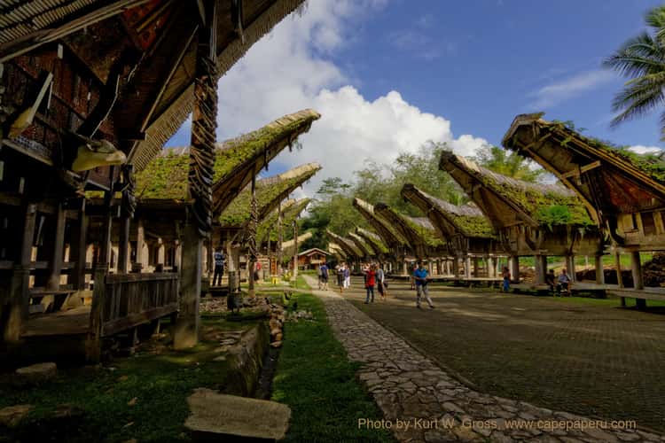 Tongkonan karuaya, Torraja, Sulawesi