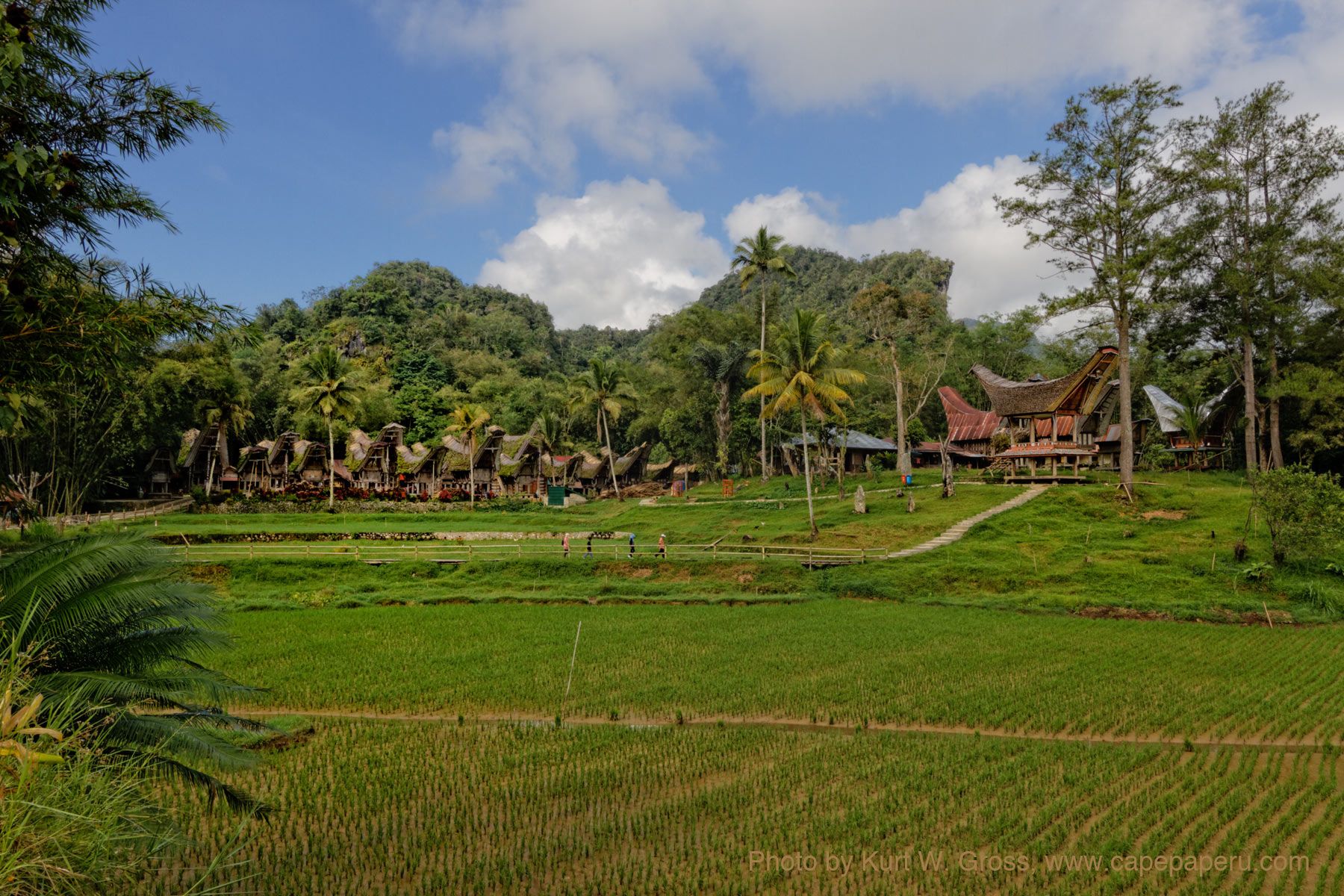 Tongkonan karuaya, Torraja, Sulawesi, Indonesia