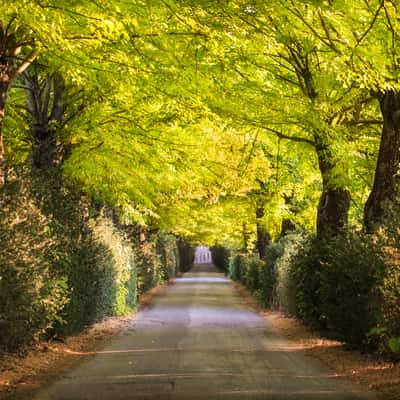 Tuscan Tunnel, Italy