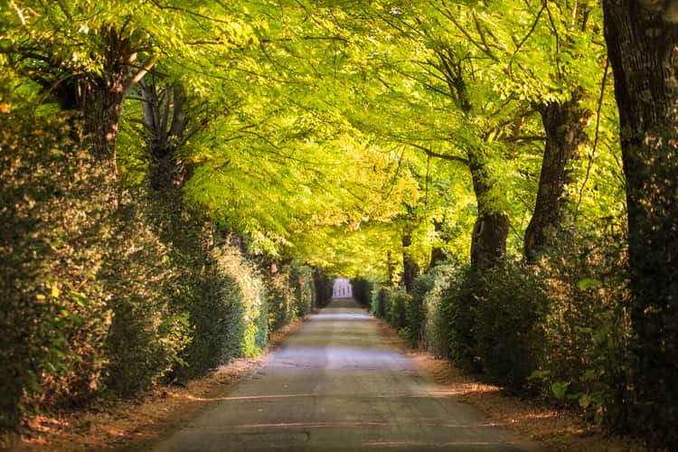 Tuscan Tunnel