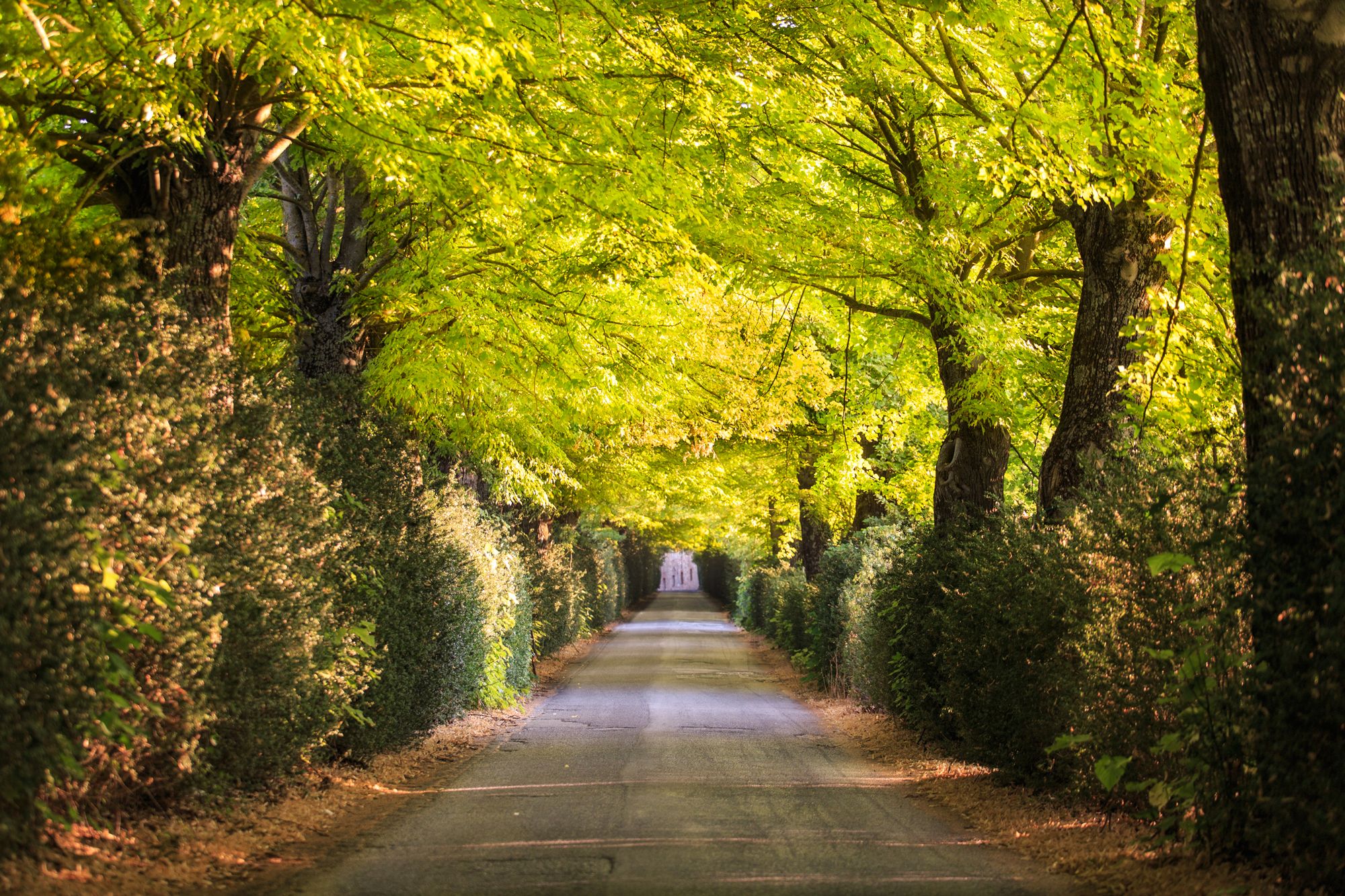 Tuscan Tunnel, Italy