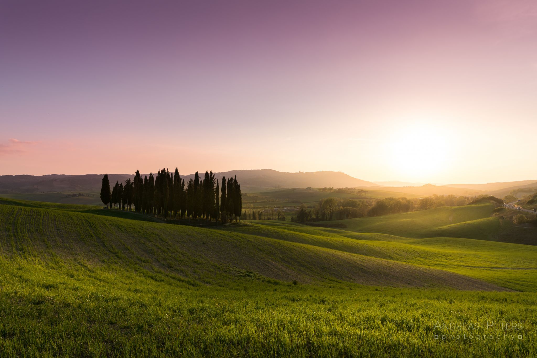 Tuscany Grove, Italy