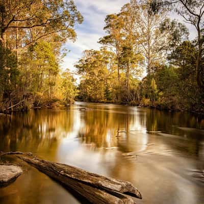 Tyenna River, Mt Field NP, Tasmania, Australia