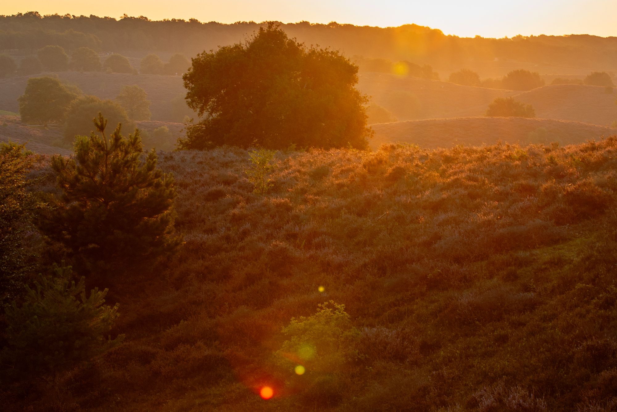 Veluwezoom sunrise seen from the Zijpenberg, Netherlands