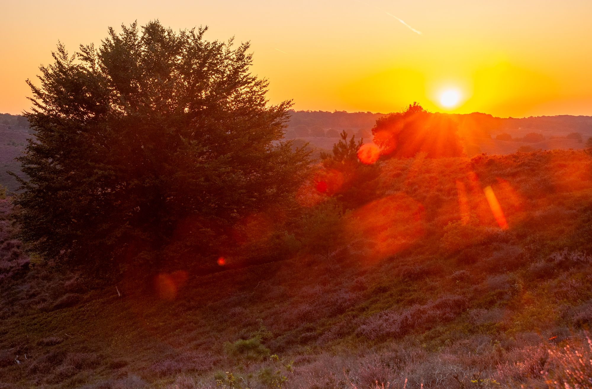 Veluwezoom sunrise seen from the Zijpenberg, Netherlands