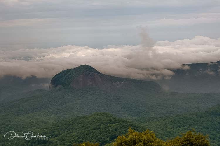 View Looking Glass Rock Overlook, Blue Ridge Parkway, North Carolina