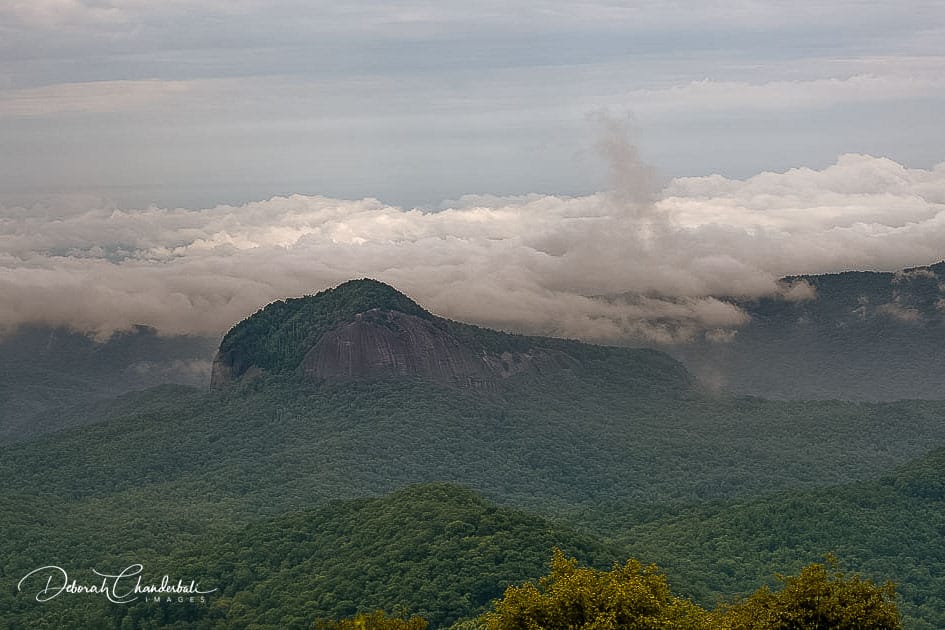 View Looking Glass Rock Overlook, Blue Ridge Parkway, North Carolina, USA