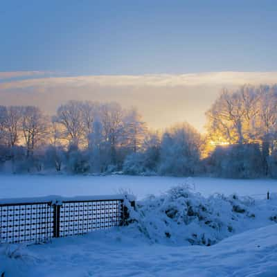 Walsen Ponds in Winter, Germany