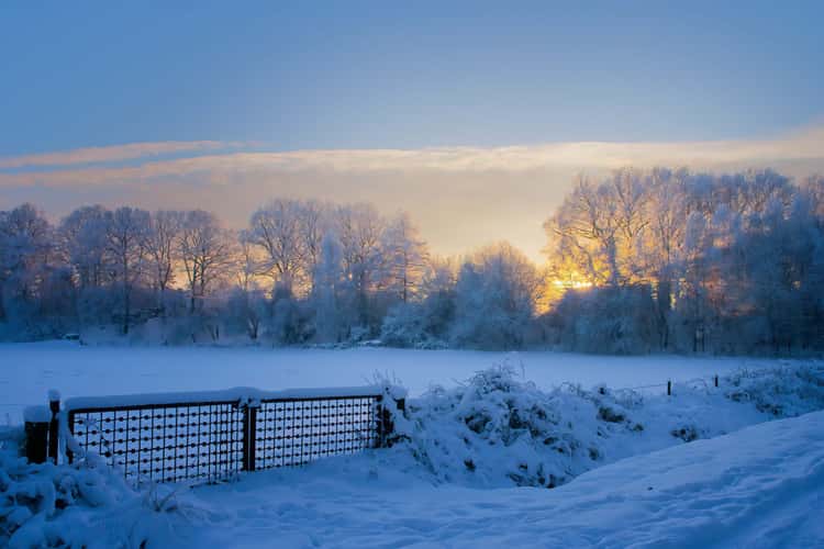 Walsen Ponds in Winter