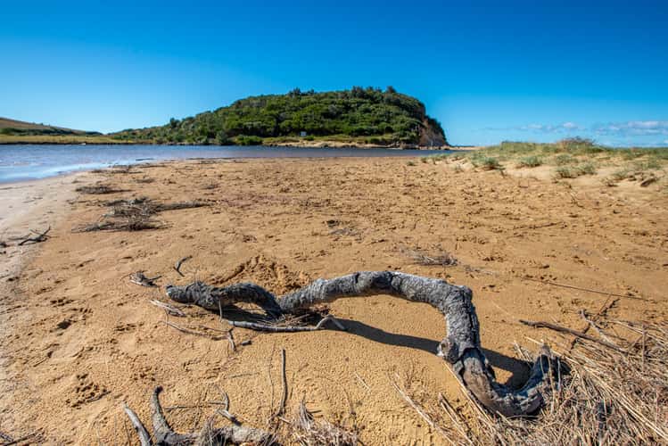 Werri Beach Headland New South Wales