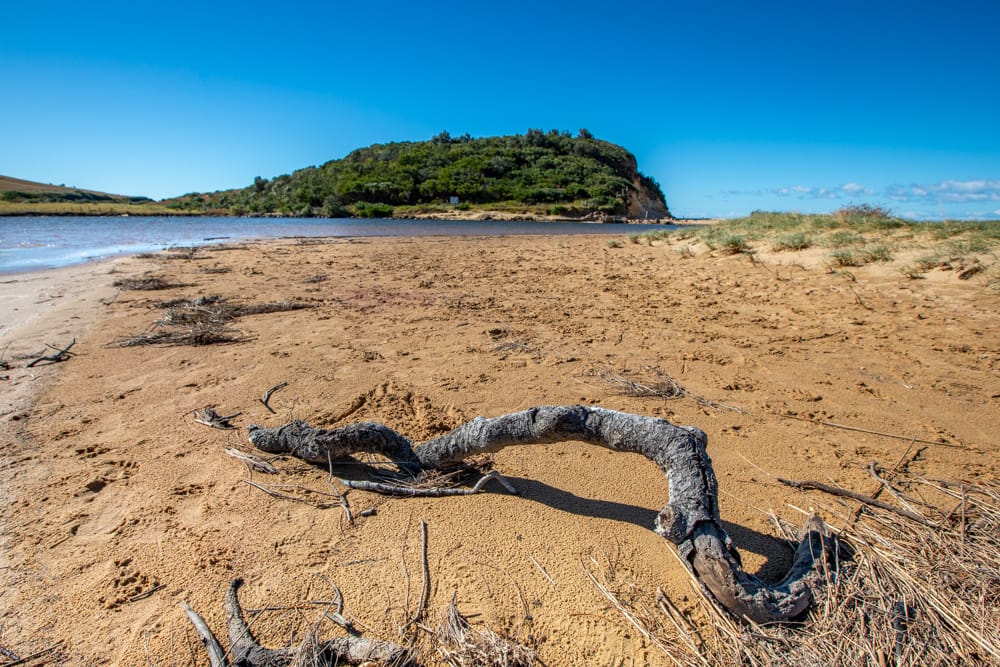 Werri Beach Headland New South Wales, Australia