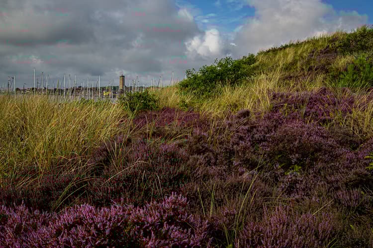 West Terschelling seen from the dunes