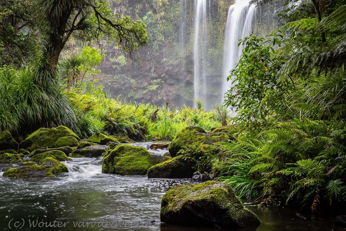 Whangarei Fall, New Zealand