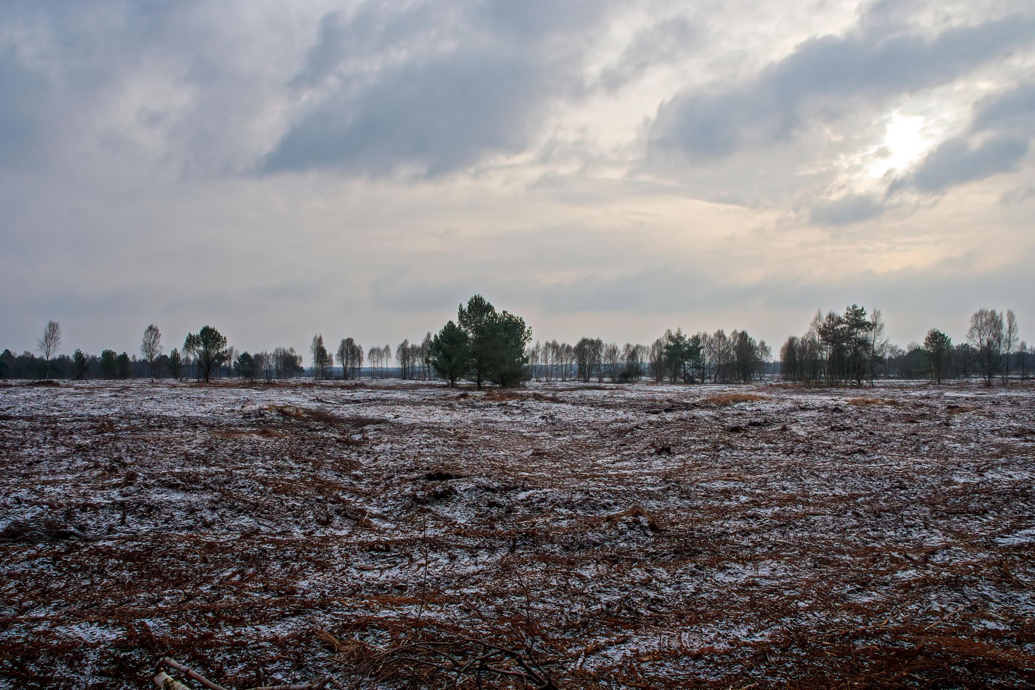 Wietinghausen Moor, Germany