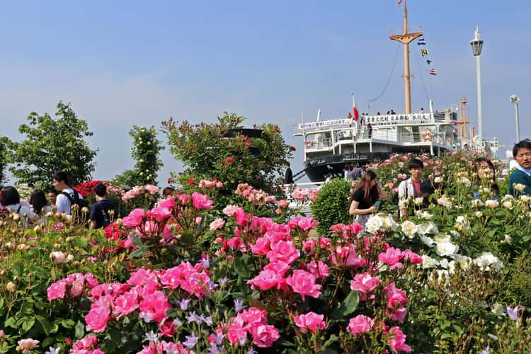 Yamashita Park