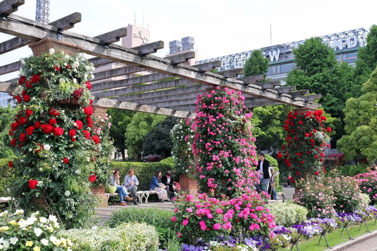 Yamashita Park