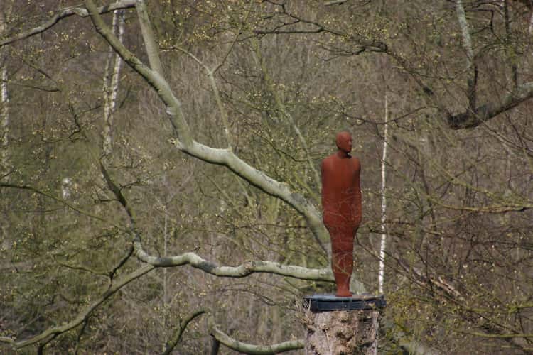 YSP Yorkshire Sculpture Park