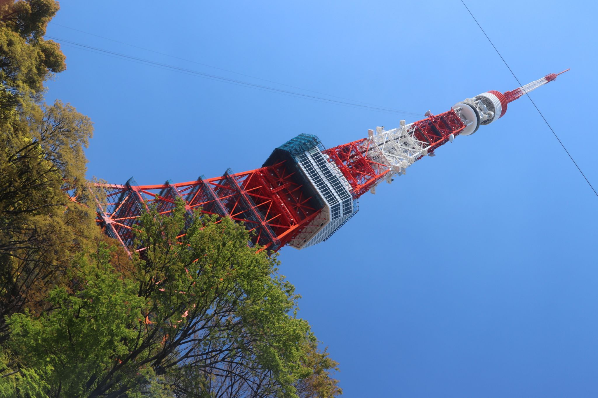 Zojyoji, Japan