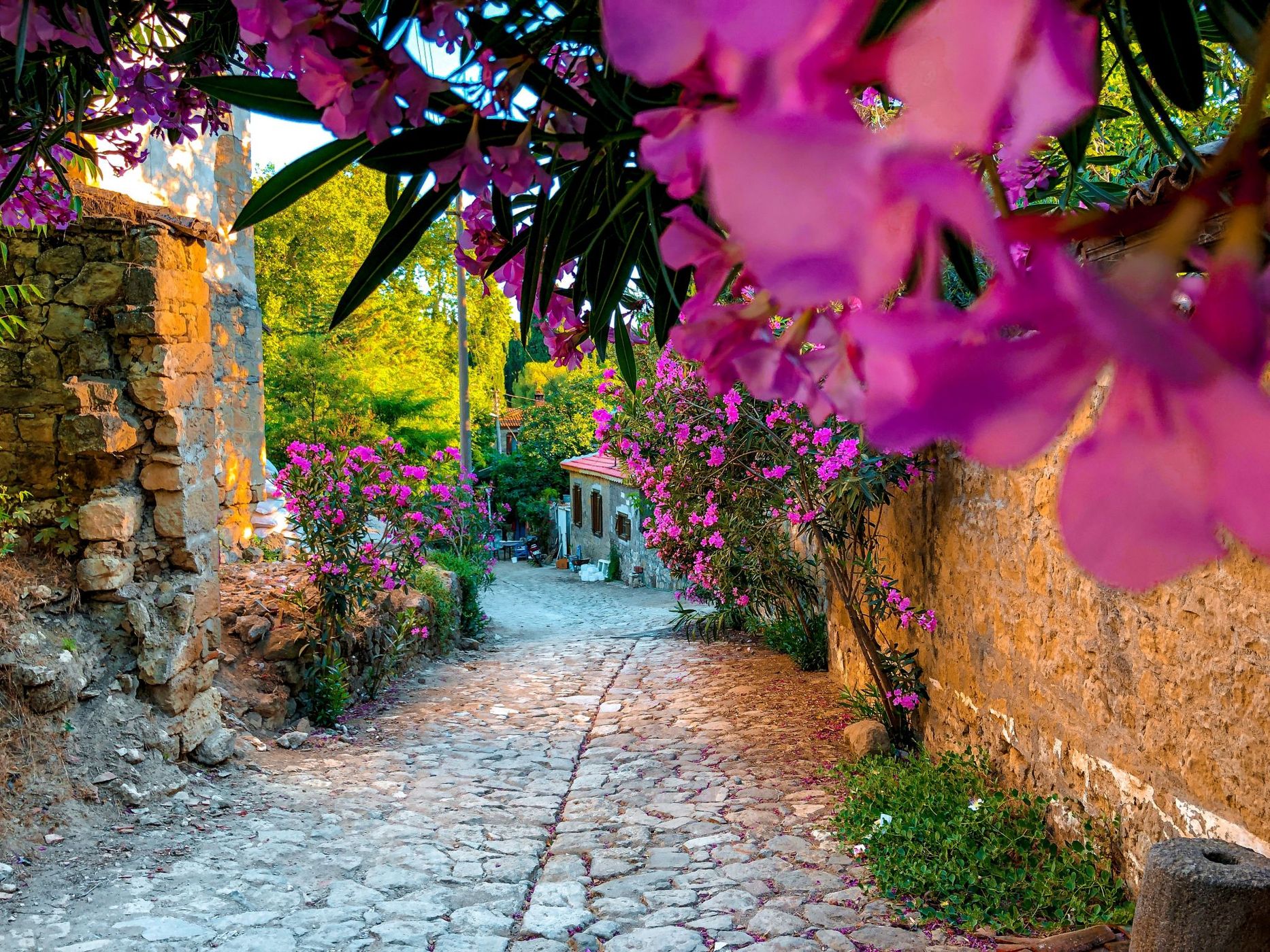 Adatepe Town, Turkey (Türkiye)