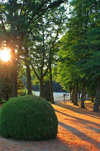 Avenue to the Fürstenberger Hof in the evening sun
