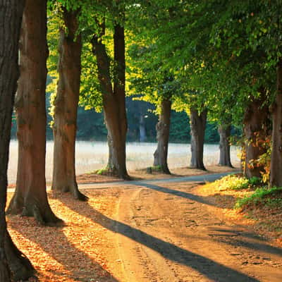 Avenue to the Fürstenberger Hof in the evening sun, Germany