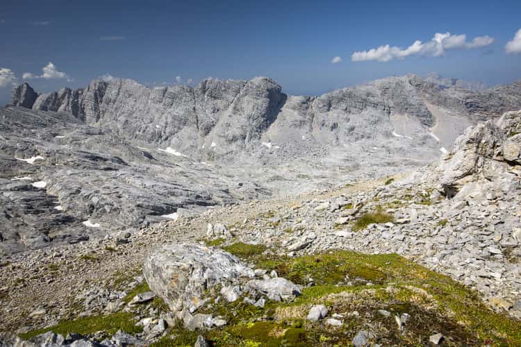 alpine view