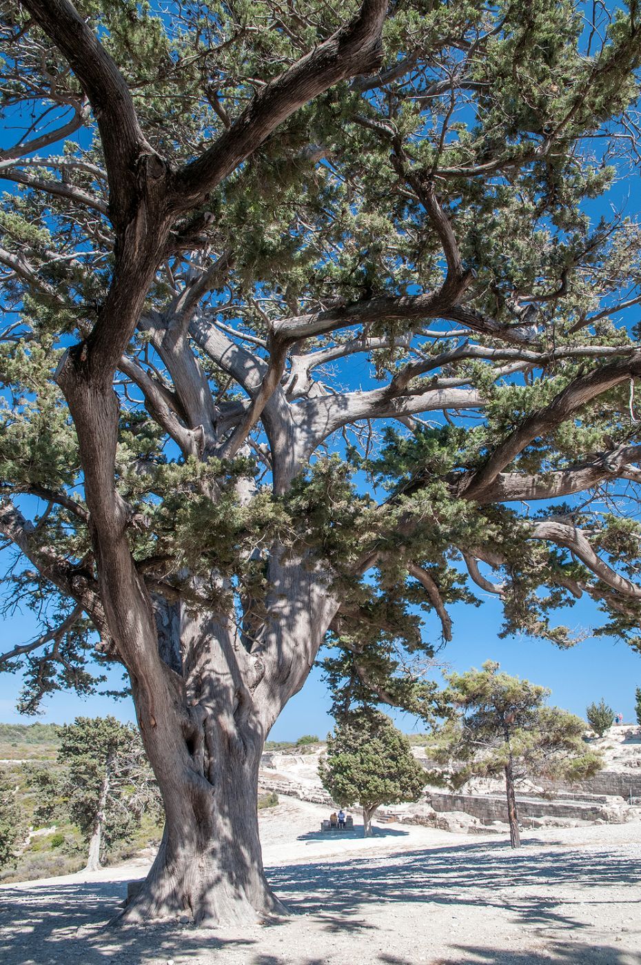 Ancient Kamiros, Greece