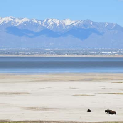 Antelope Island State Park, USA